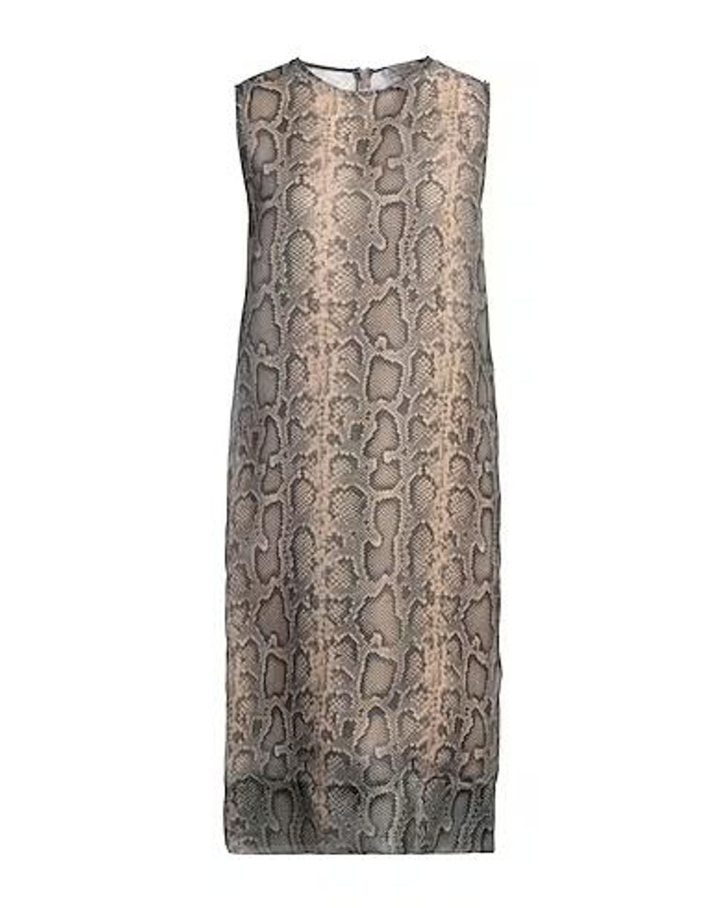 Sportmax Brown Snakeskin Print Sleeveless Dress