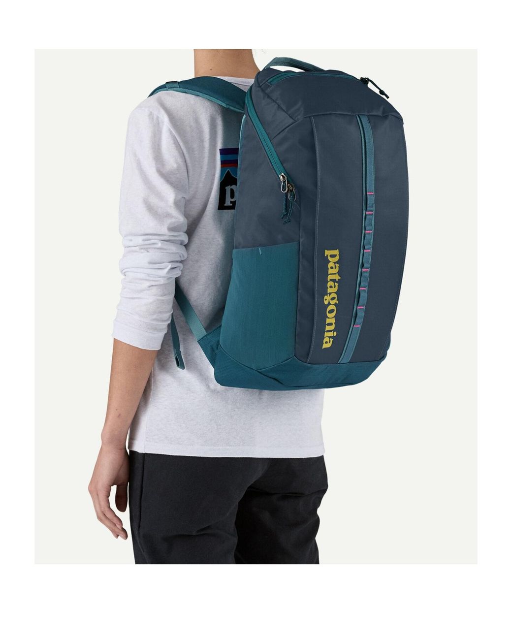 Patagonia Blue Hole 25L Backpack for men