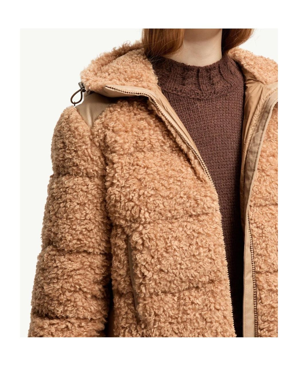 Moncler Brown Alpestre Teddy Down Jacket