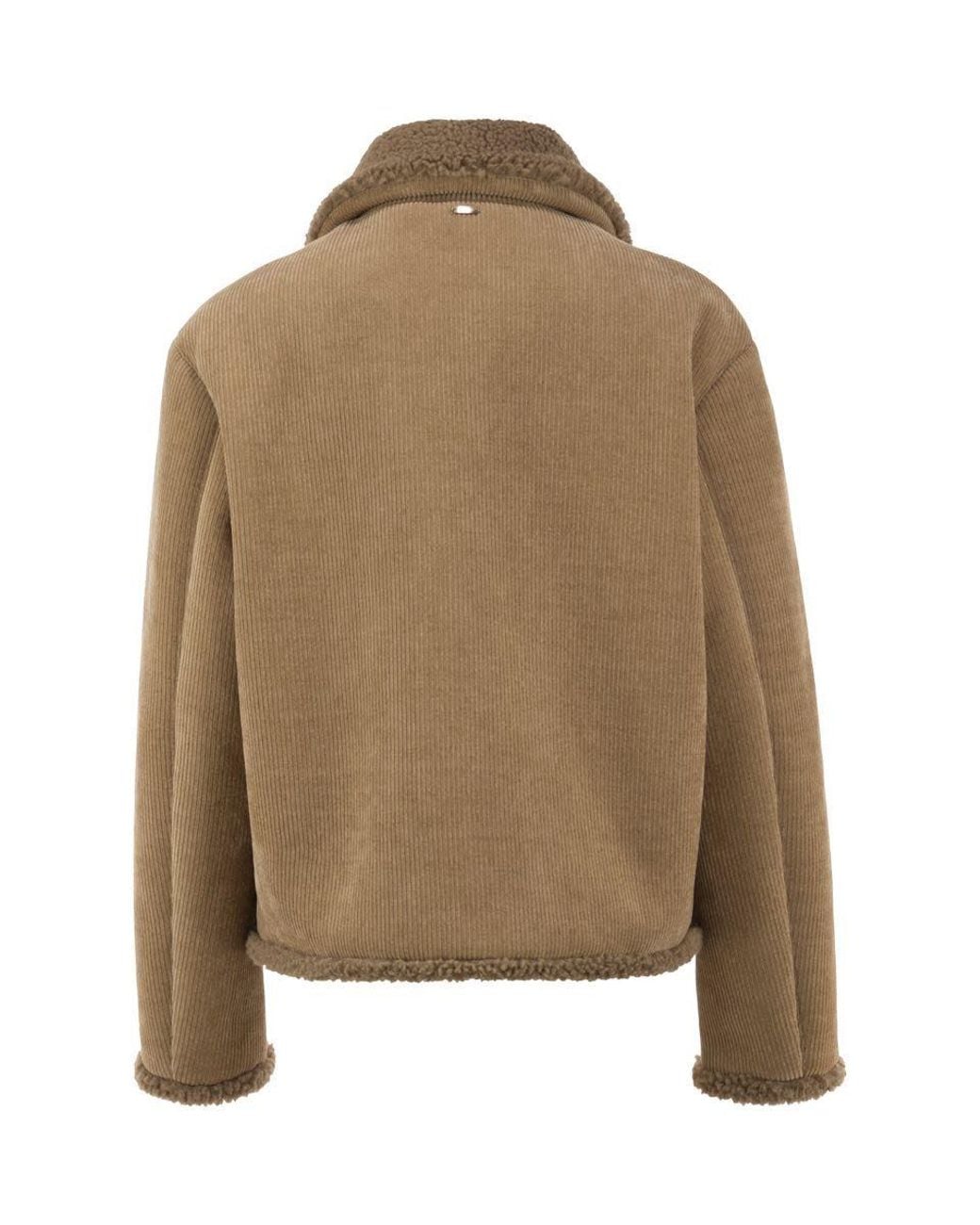 Herno Brown Long-Sleeve Casual Jacket