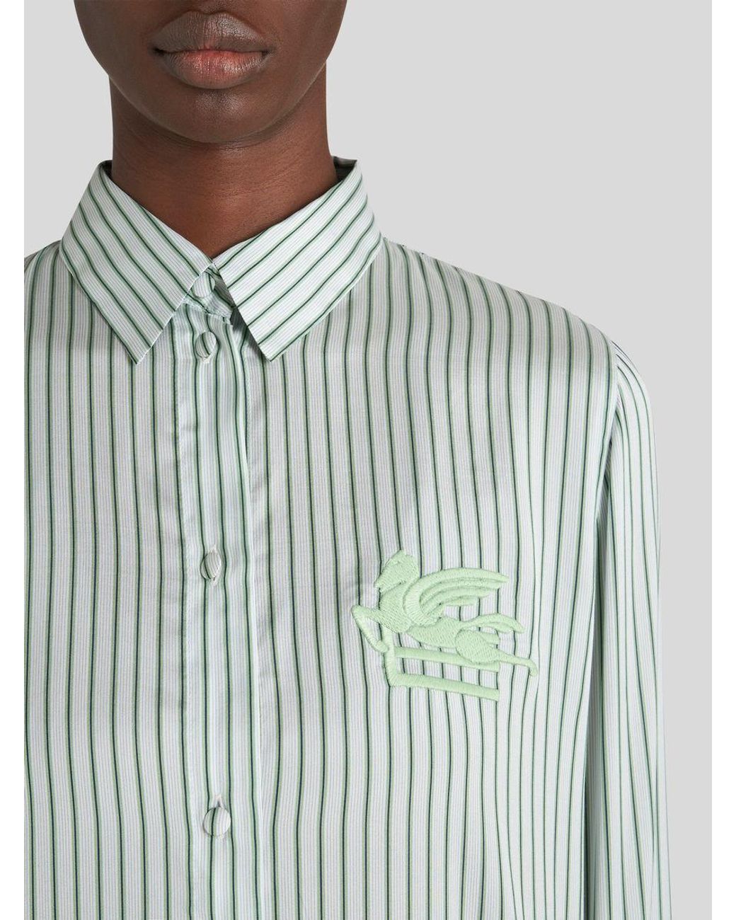 Etro Blue Striped Logo Embroidered Button-Up Shirt