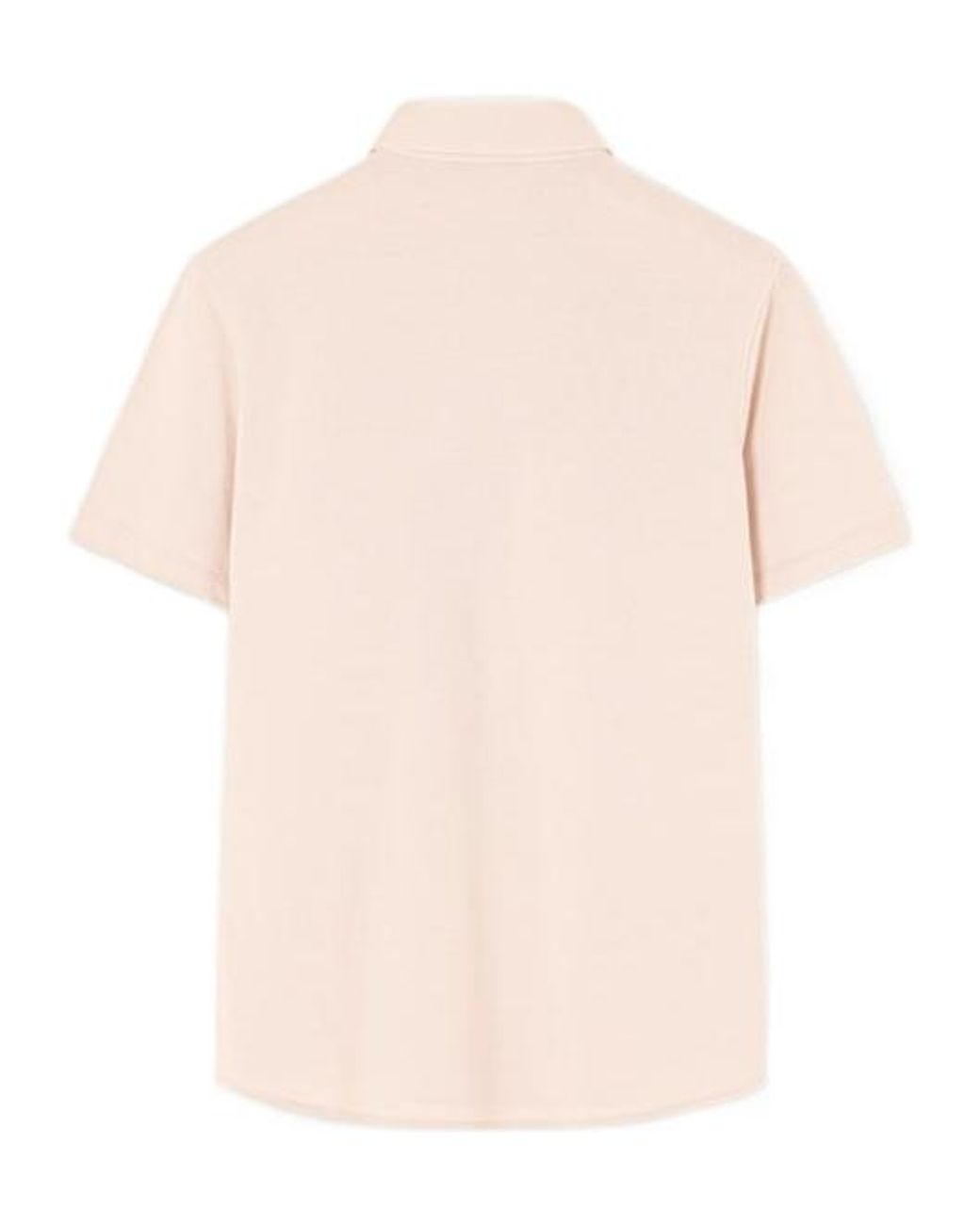 Loro Piana White Brenna Polo Shirt for men