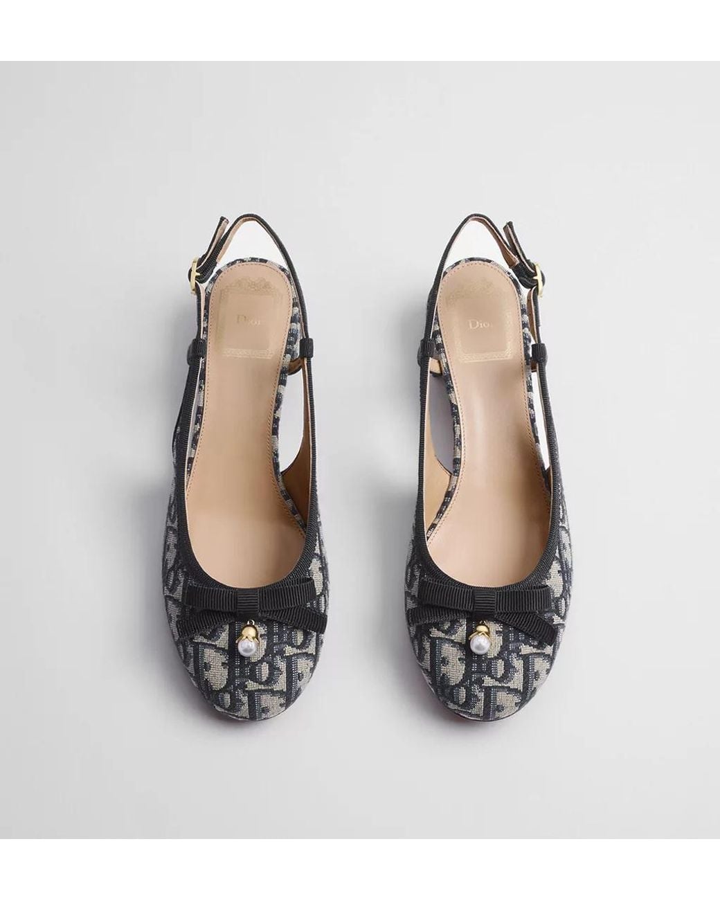 Dior Multicolor Ballet Slingback Pump