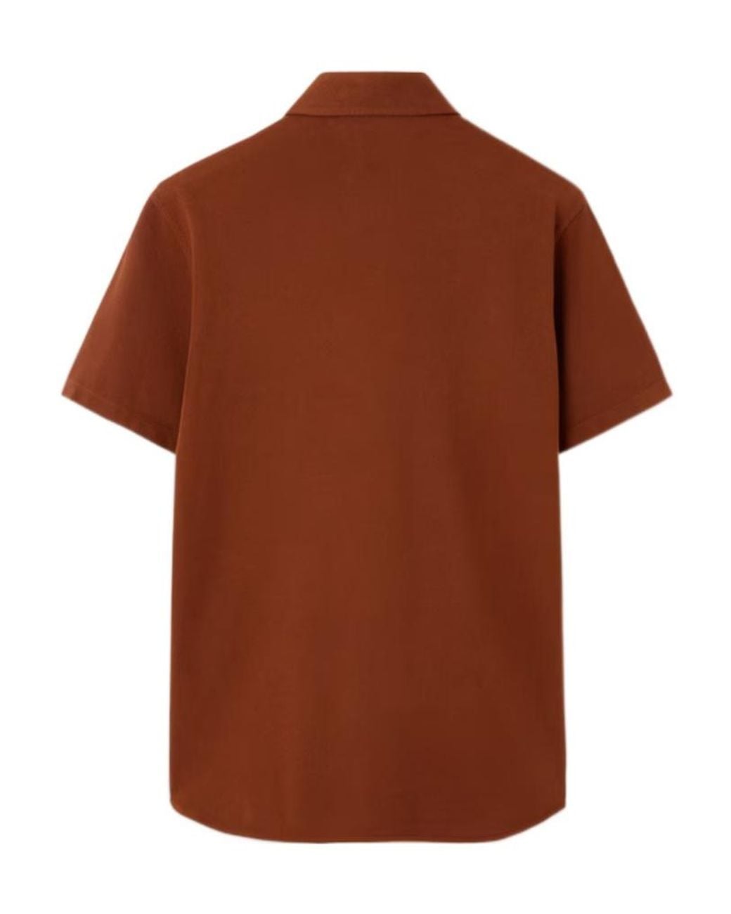 Loro Piana Brown Brenna Polo Shirt for men