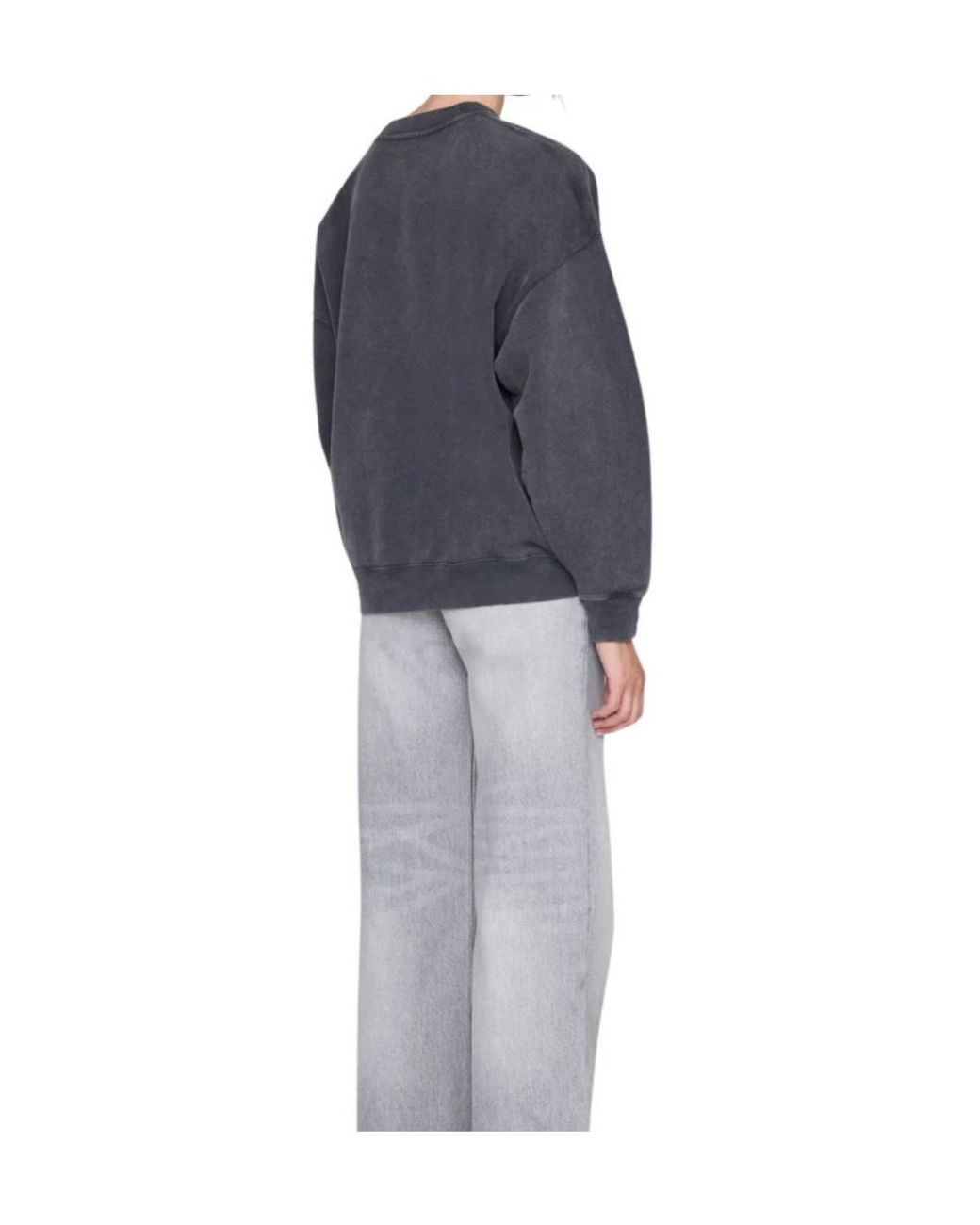 Anine Bing Blue Miles Tiger-Print Sweatshirt