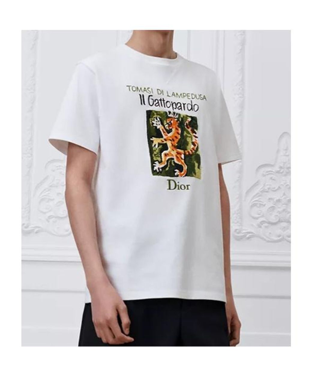 Dior White Graphic Printed Crewneck T-Shirt for men