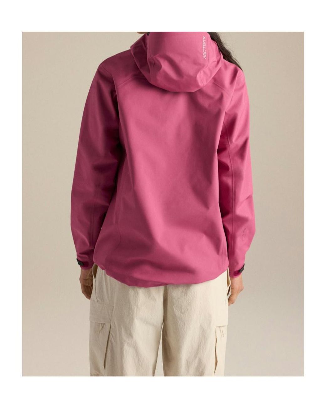 Arc'teryx Purple Beta Jacket