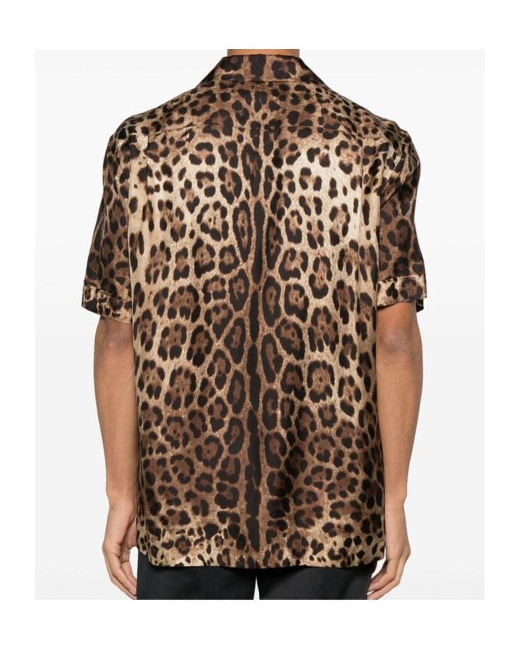 Dolce & Gabbana Brown Leopard Printed Bowling Shirt for men