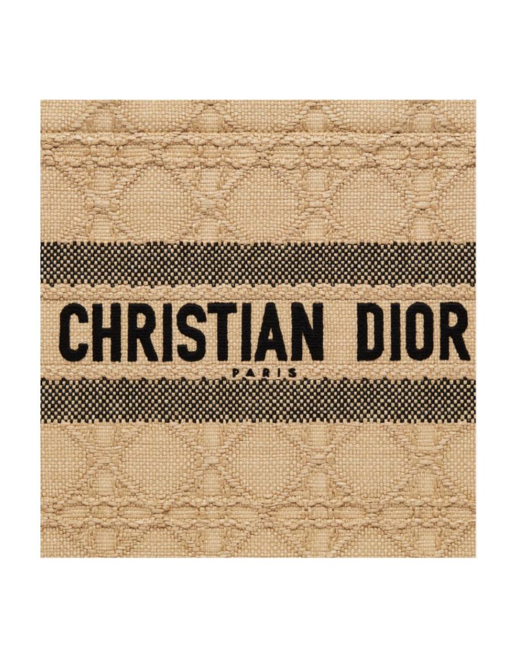 Dior Natural Book Tote Medium Wine Coconut Handbag