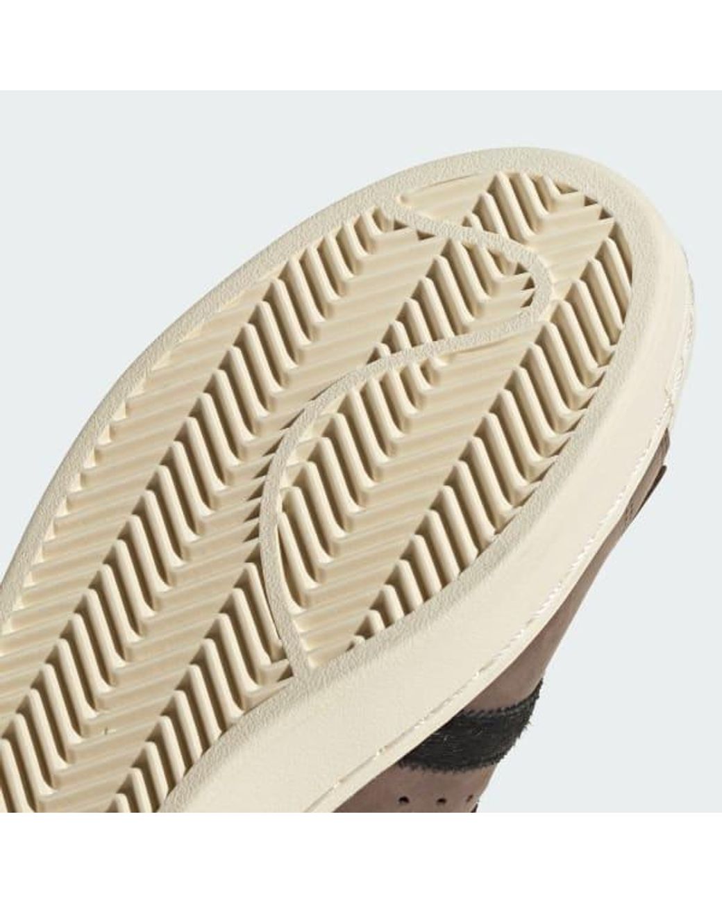 Adidas Originals Brown Superstar Sneakers for men