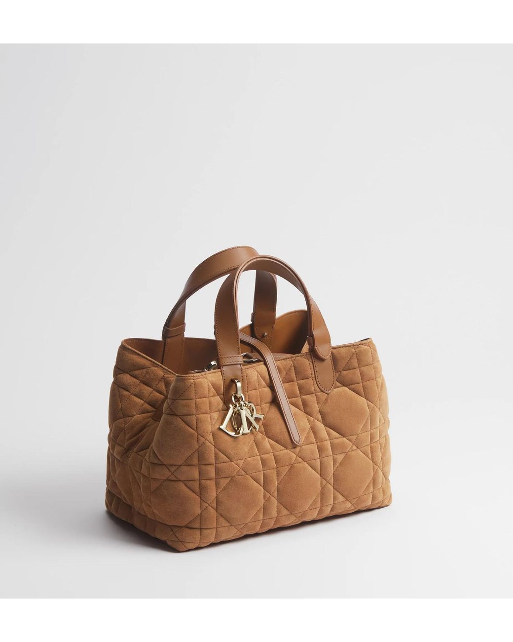 Dior Brown Medium Toujours Bag
