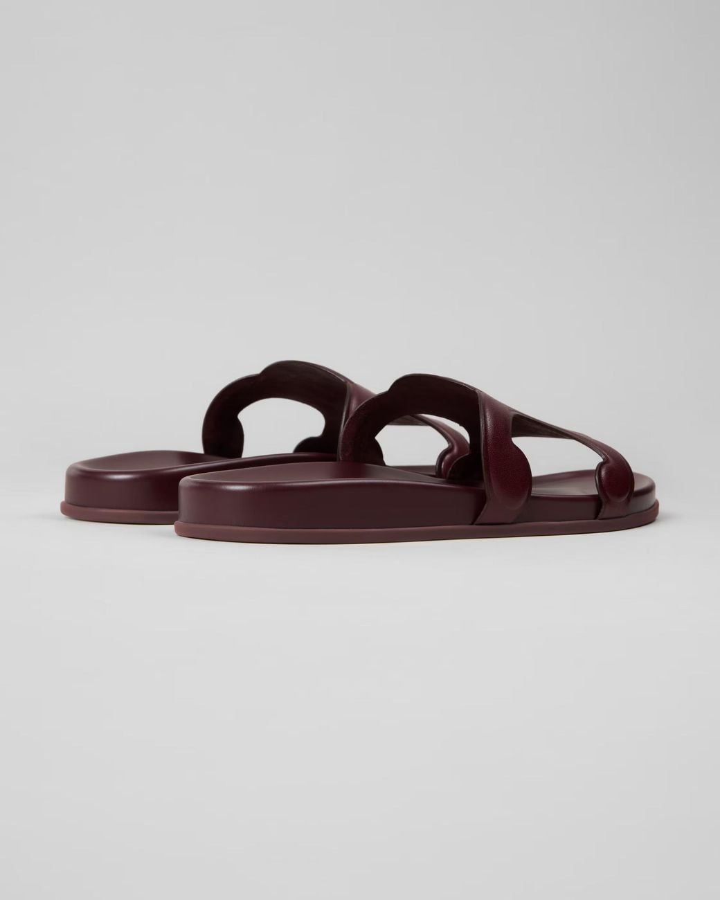 Céline Brown Triomphe Slide