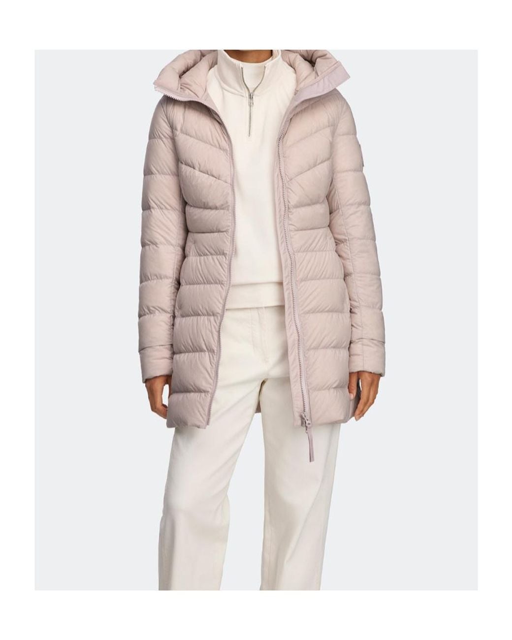 Canada Goose Multicolor Clair Coat Tonal Disc