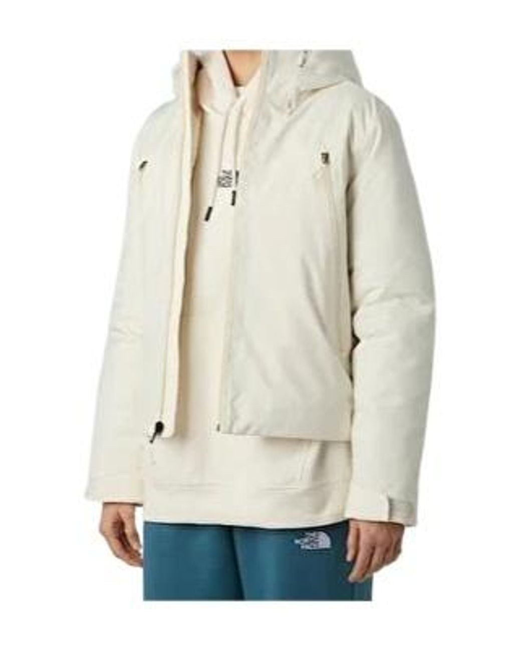 The North Face Natural Mountain Range Down Hooded Jacket