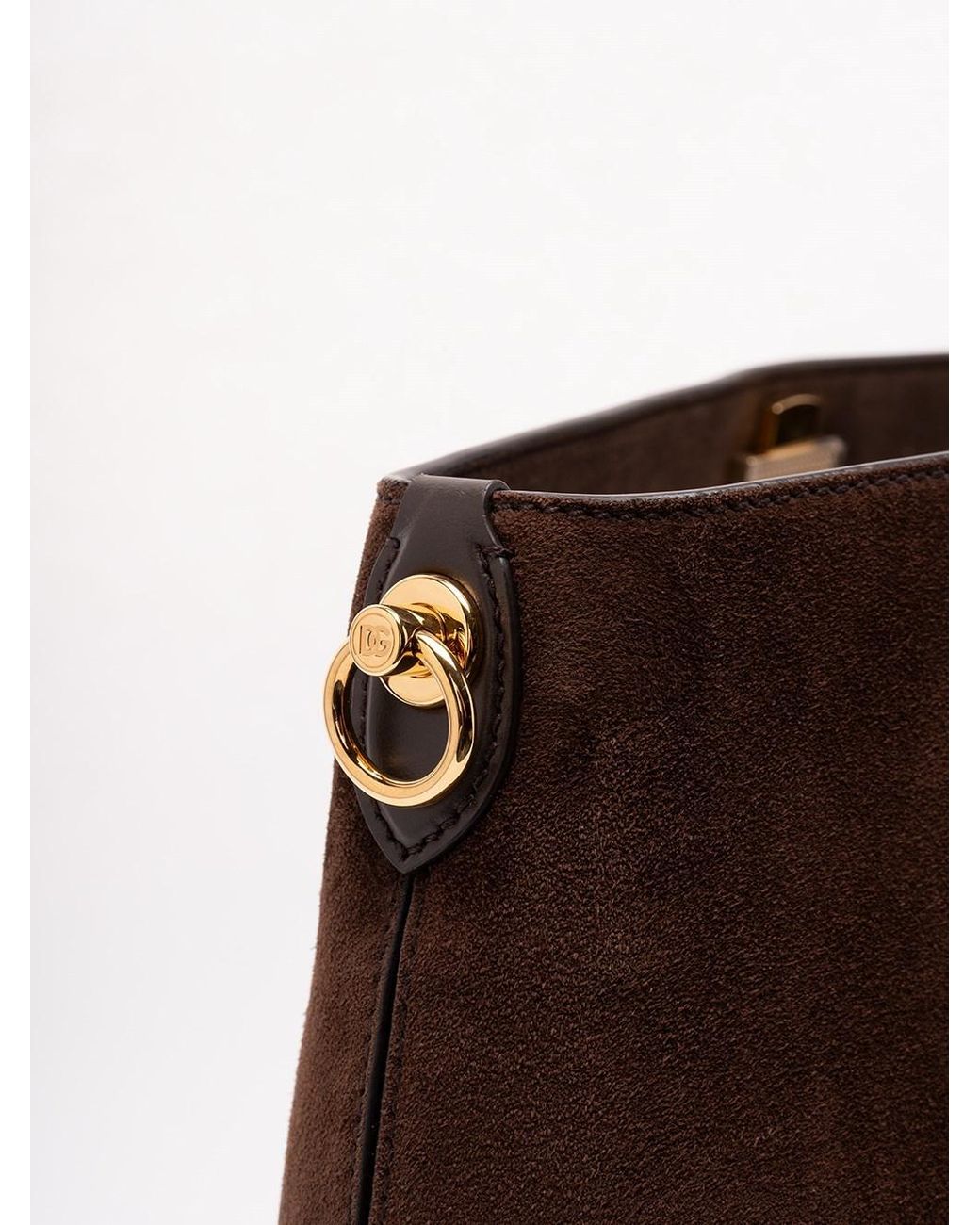 Dolce & Gabbana Brown Vittoria Logo Plate Crossbody Bag