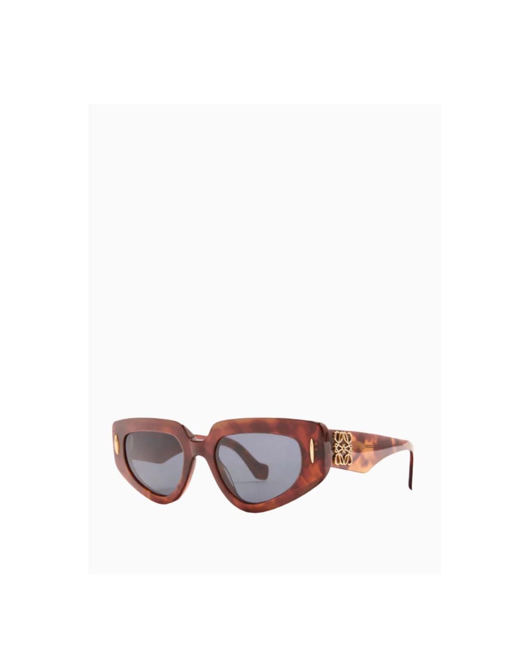Loewe Multicolor Cat Eye Frame Sunglasses
