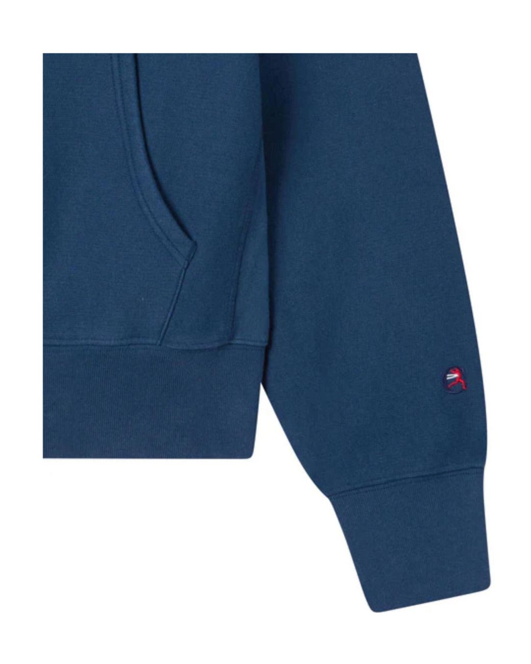 Champion Blue Hooded Sweatshirt for men