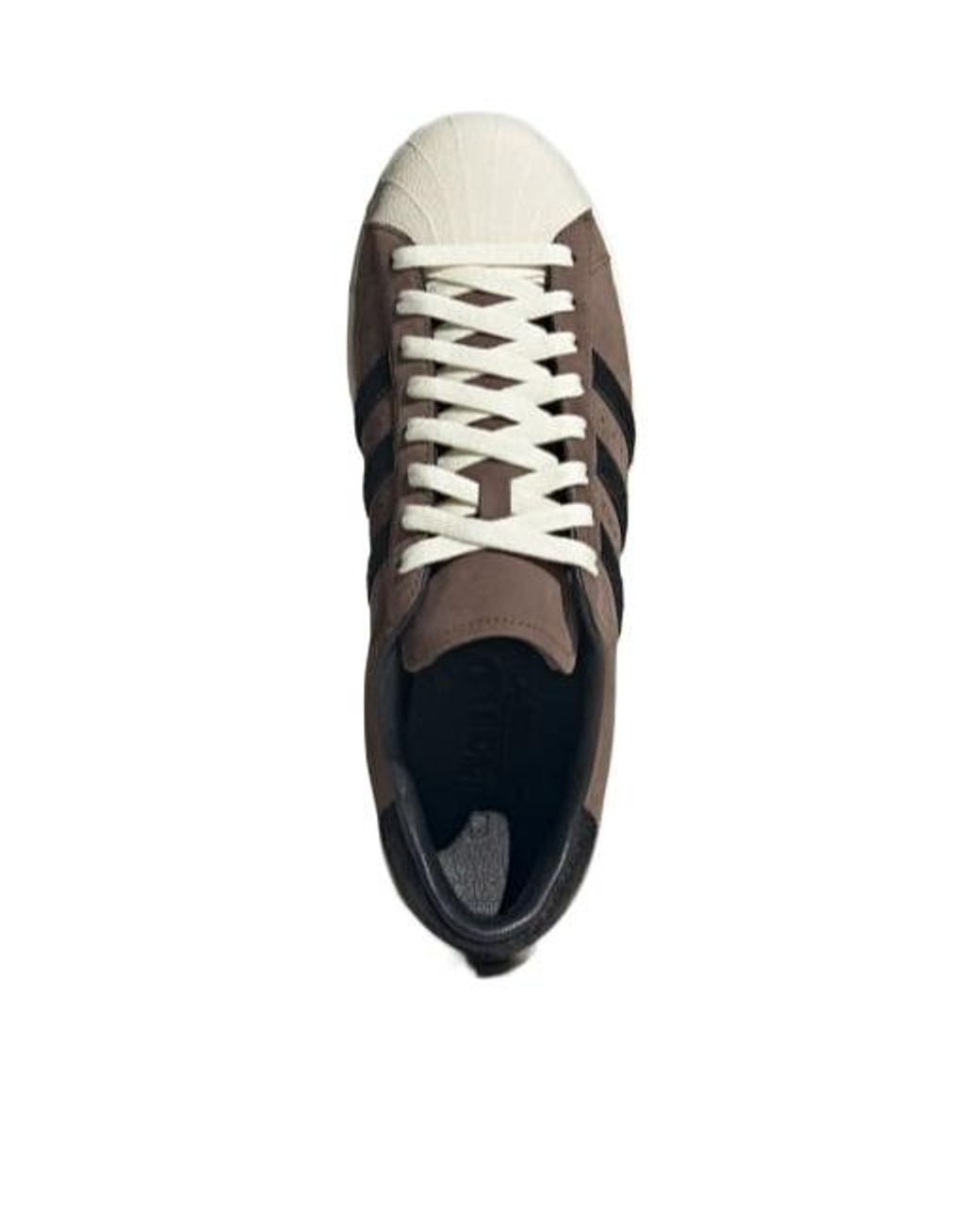 Adidas Originals Brown Superstar Sneakers for men