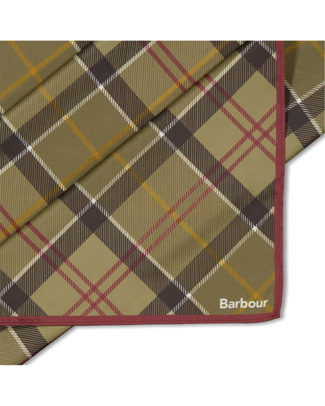 Barbour Green Casual Silk Scarf