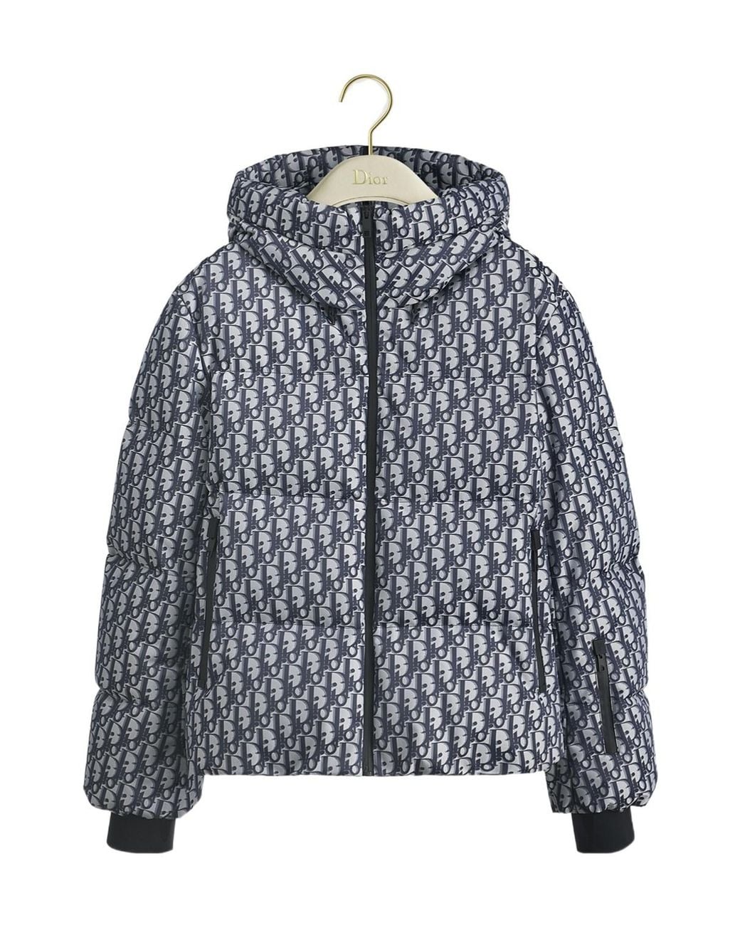 Dior Gray Alps Oblique Hooded Down Jacket