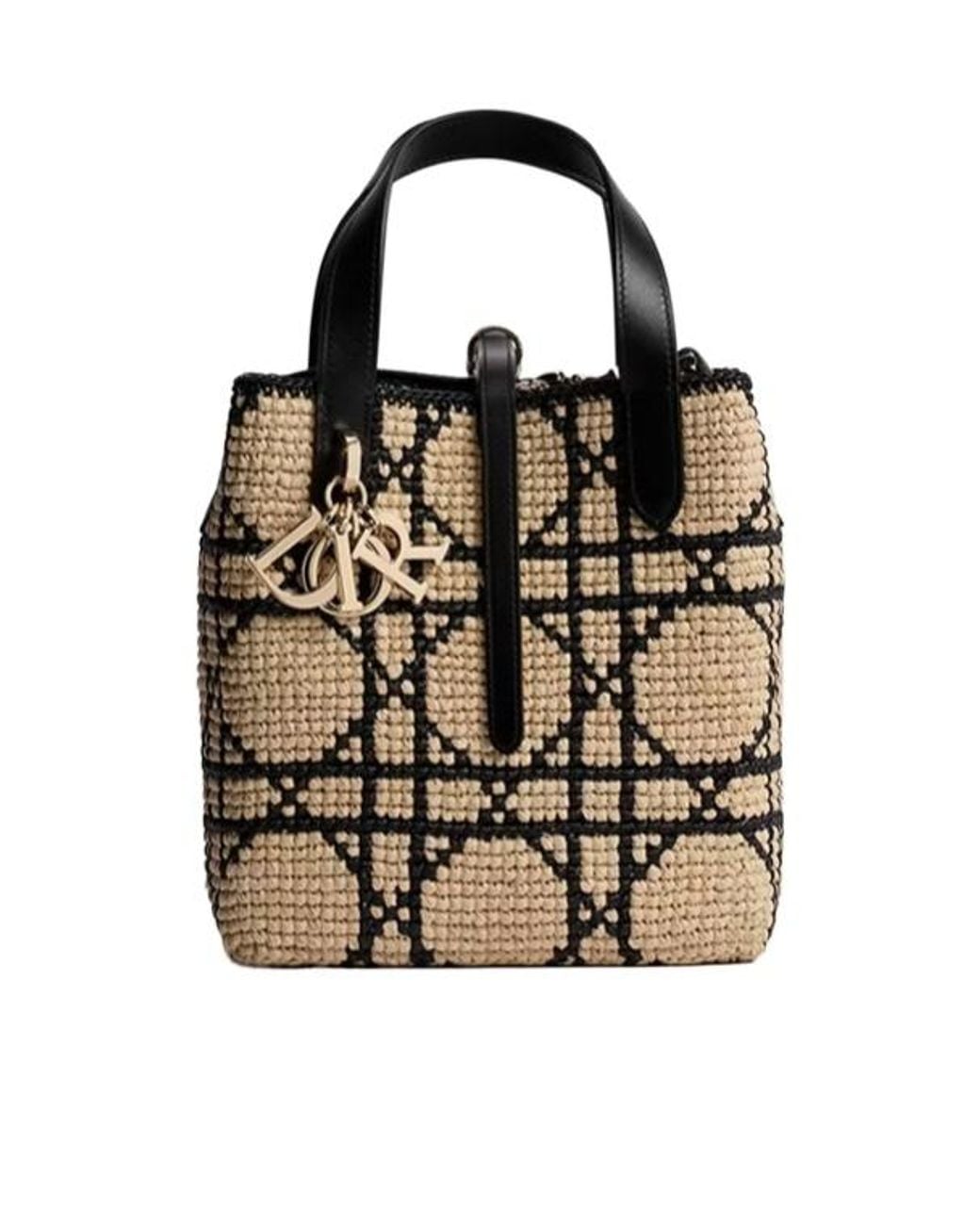 Dior Black Small Toujours Vertical Tote Bag