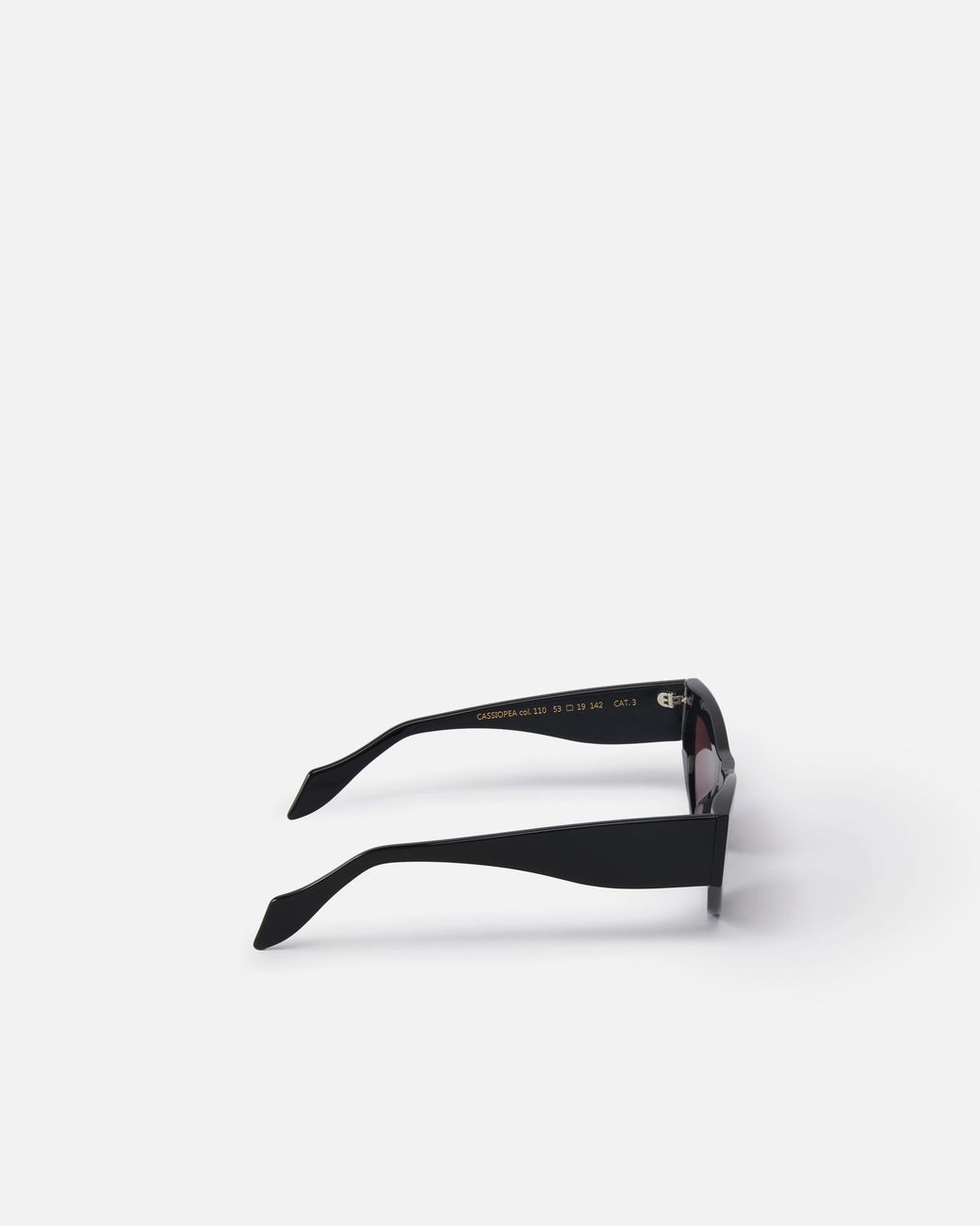 Pinko Multicolor Cat-Eye Frame Sunglasses