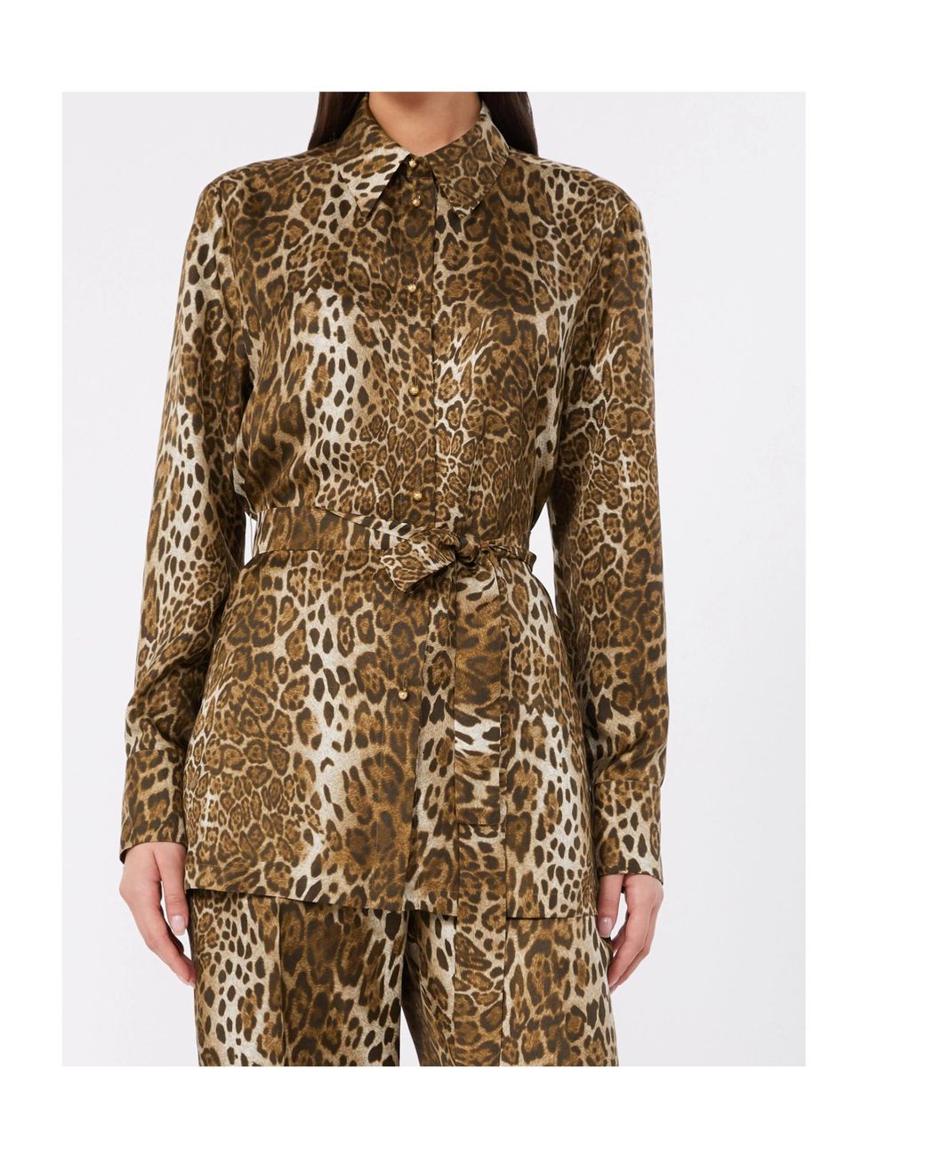 Max Mara Brown Studio Animal Printed Long-Sleeved Shirt