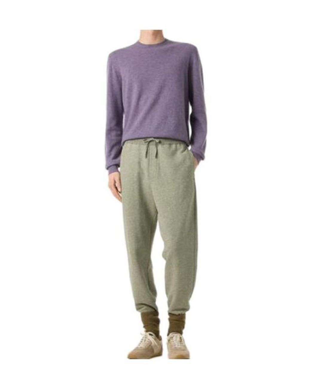 Loro Piana Purple Sergio Crewneck for men