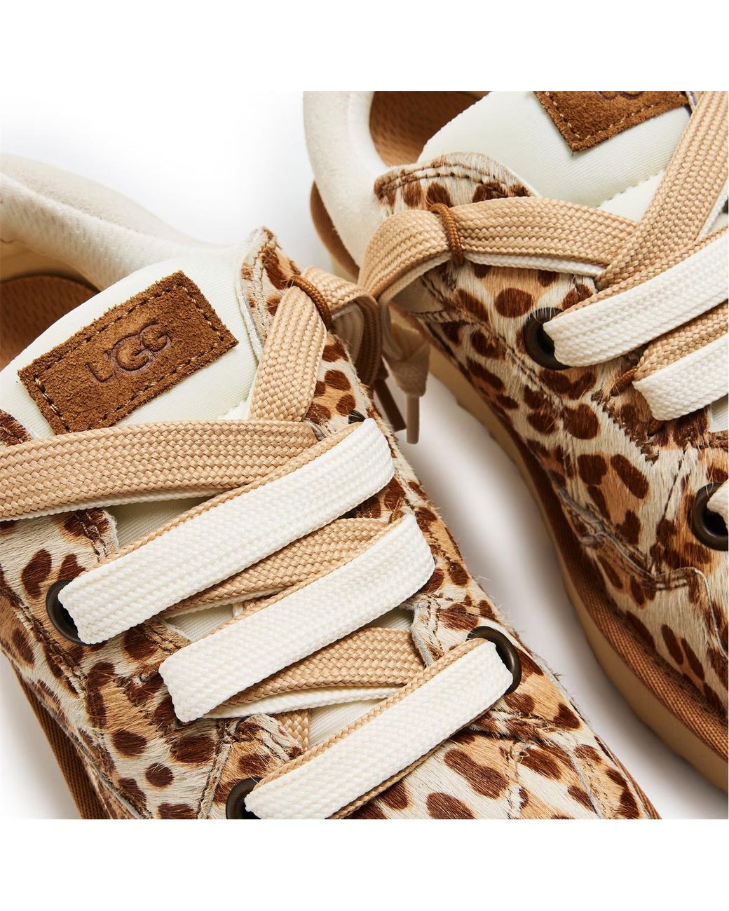 Ugg Brown Logo Low-Top Sneakers