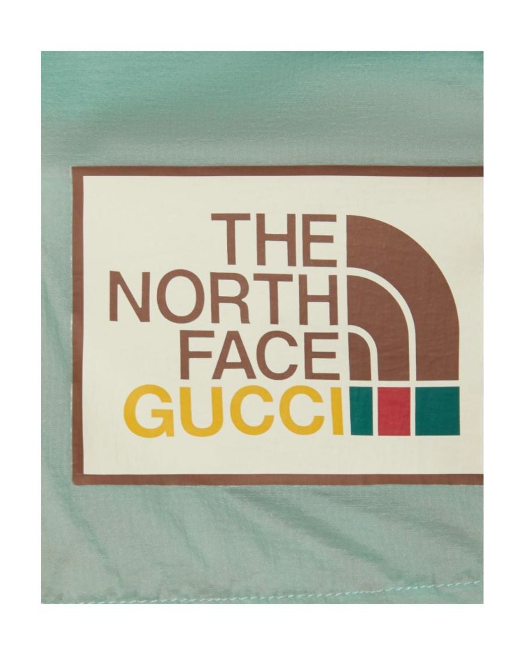 Gucci Green X The North Face Two-Tone Jacket