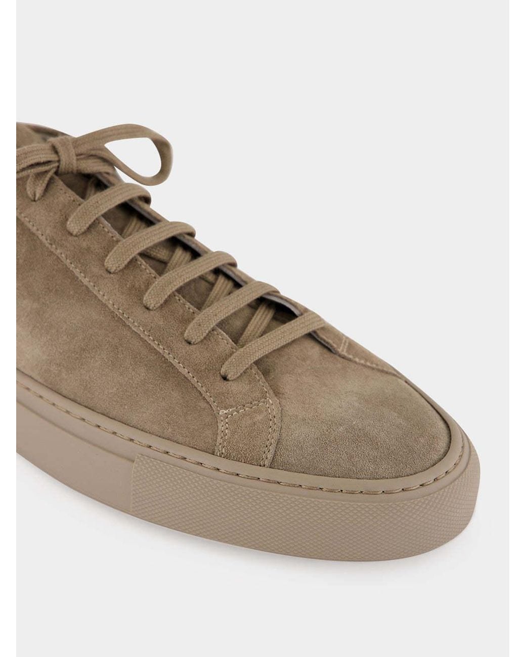Common Projects Brown Achilles Premium Low-Top Sneakers for men