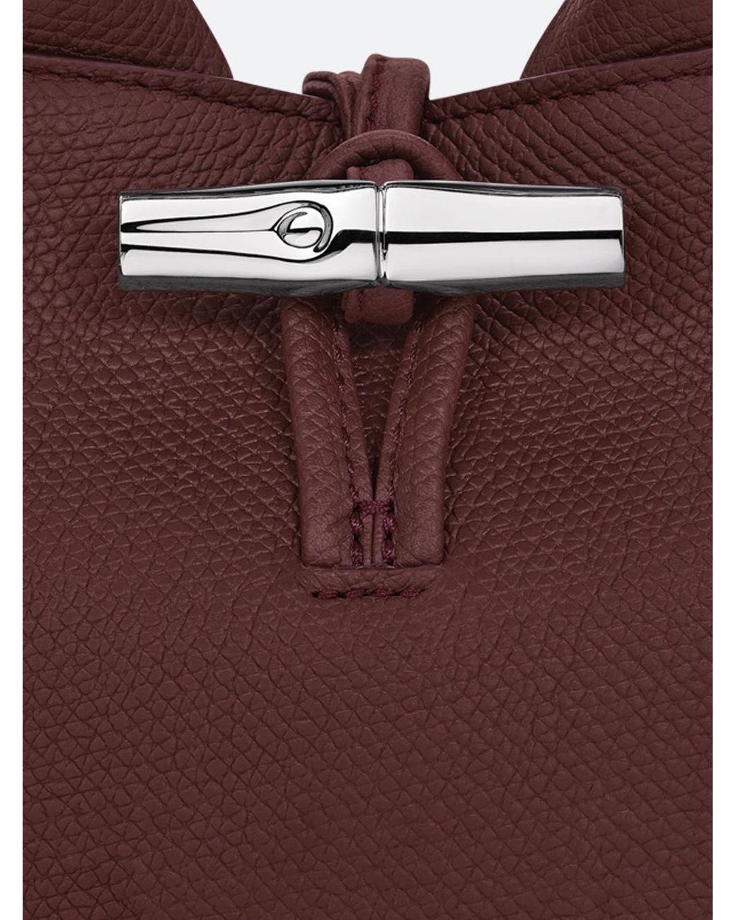 Longchamp Brown Le Roseau Xs Handbag