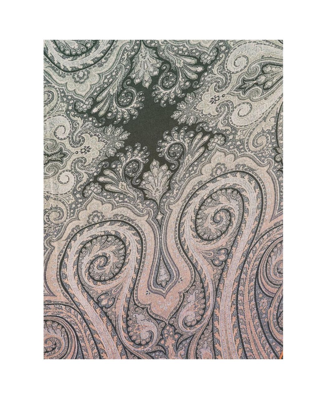 Pierre Louis Mascia Gray Printed Silk Scarf