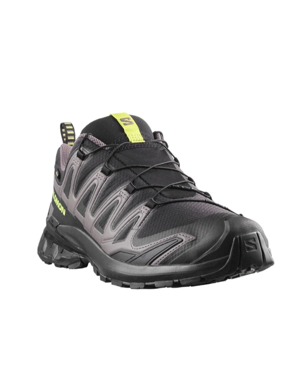 Salomon Lab Brown Xa Pro 3D V9 Gore-Tex for men