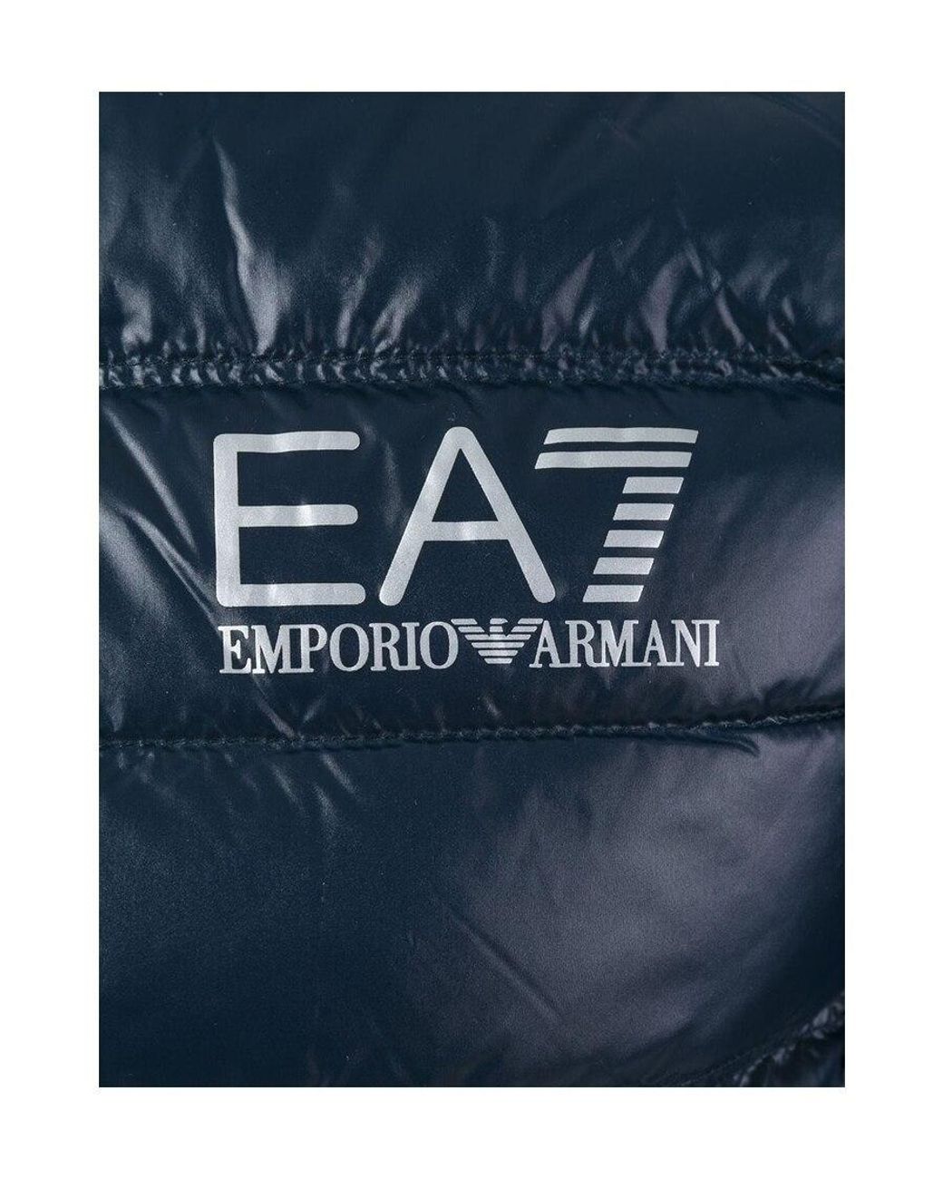 EA7 Blue Logo Printed Zipped Gilet for men