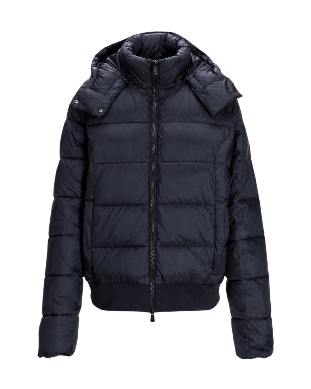 EA7 Blue Winter Jackets
