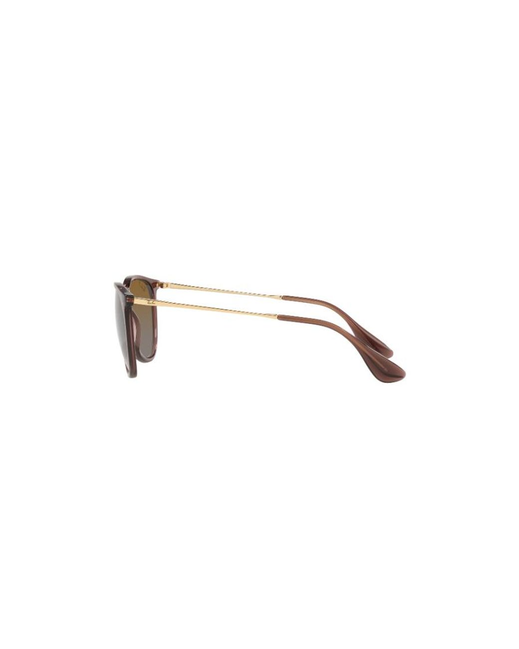 Ray-Ban Multicolor Erika Classic Phantos Frame Sunglasses