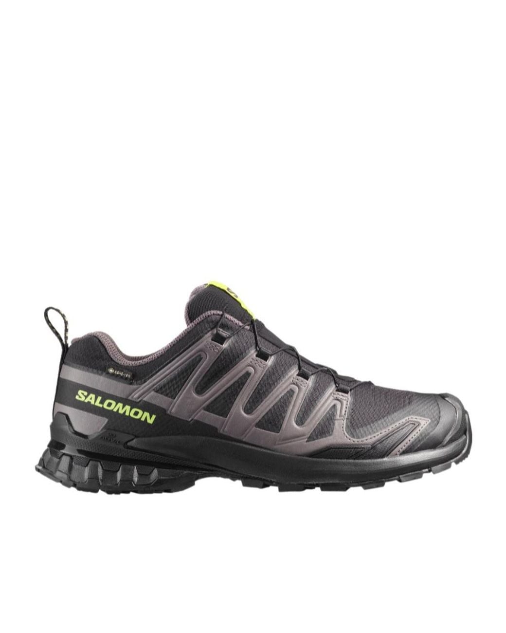 Salomon Lab Brown Xa Pro 3D V9 Gore-Tex for men