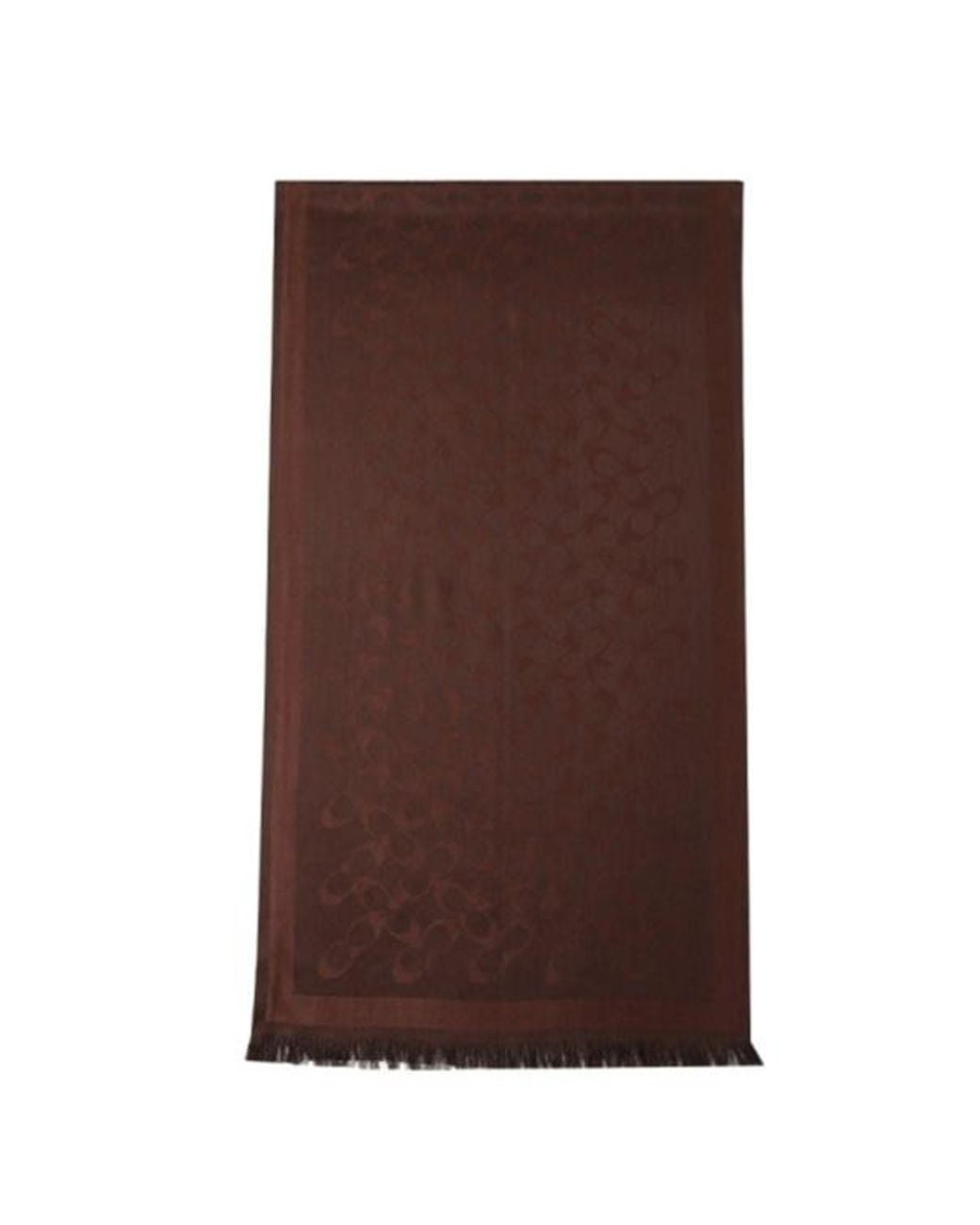 COACH Brown Tasseled Scarf