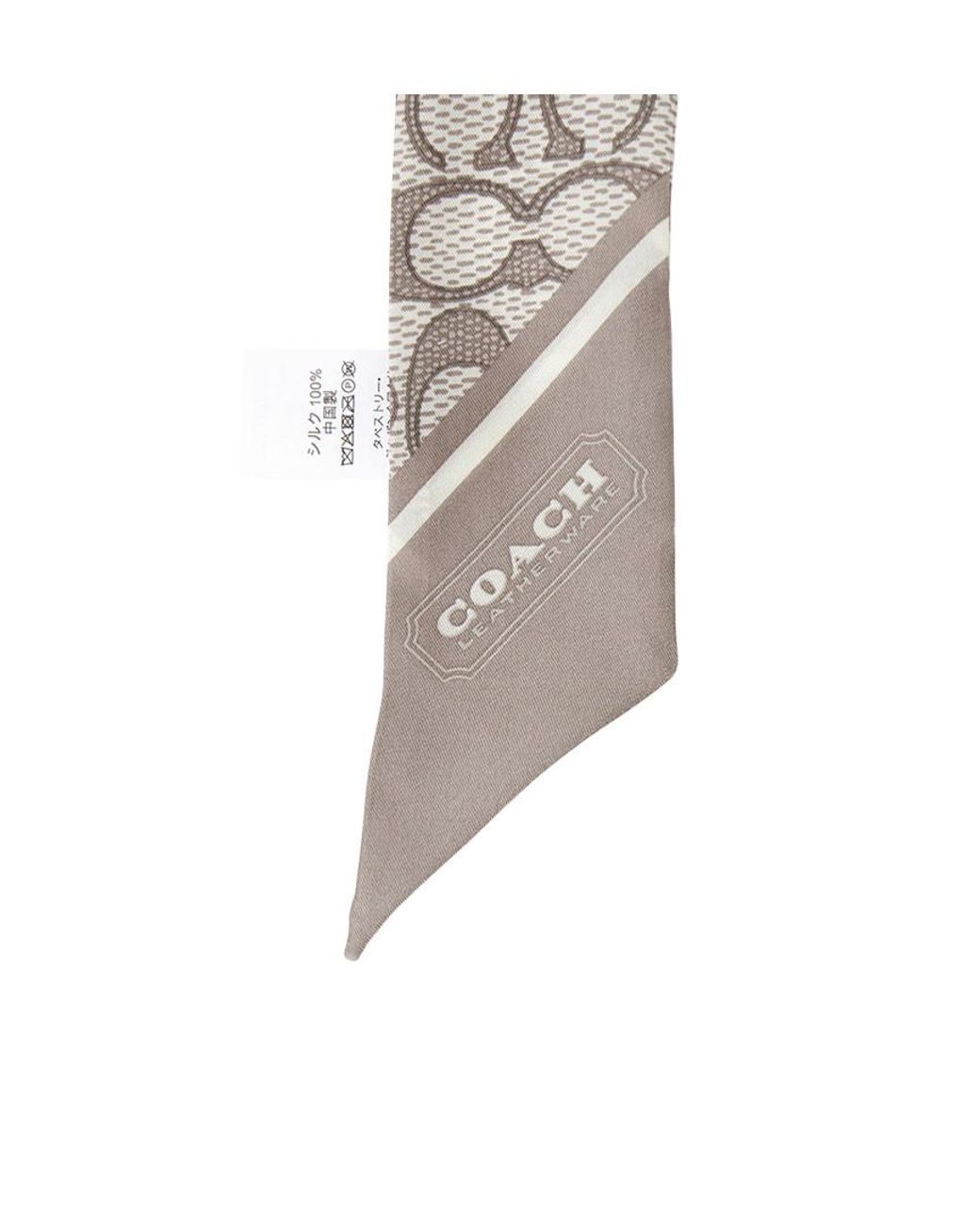 COACH White Pointed Silk Scarf