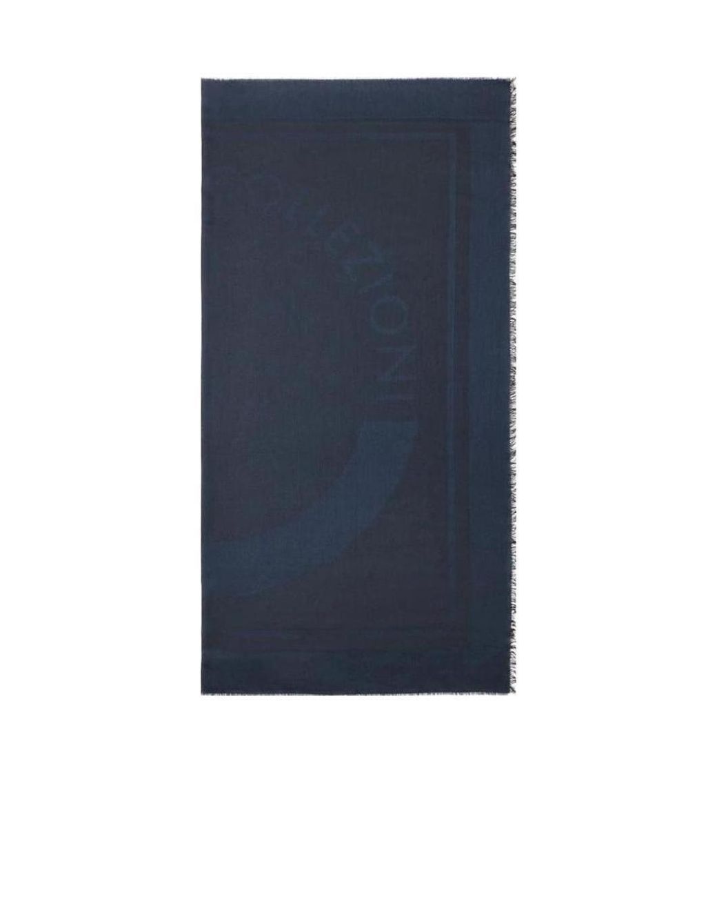Armani Collezioni Blue Logo Scarf for men