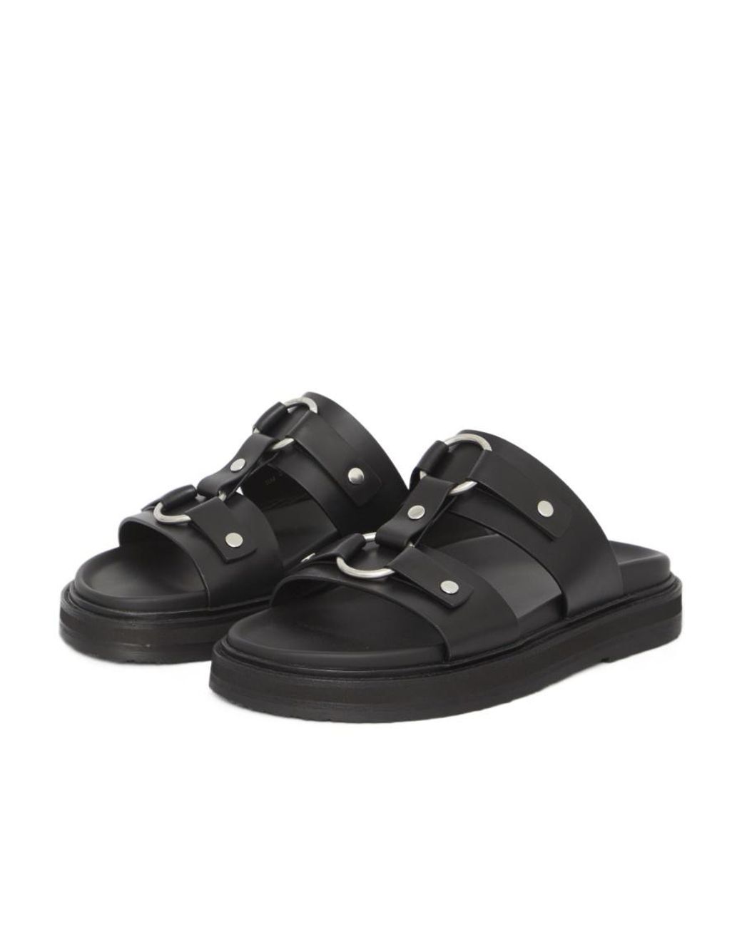 Céline Brown Tippi for men