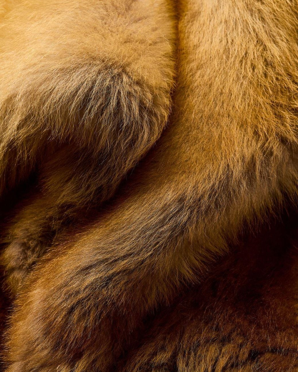 Saint Laurent Yellow Short Shearling Coat