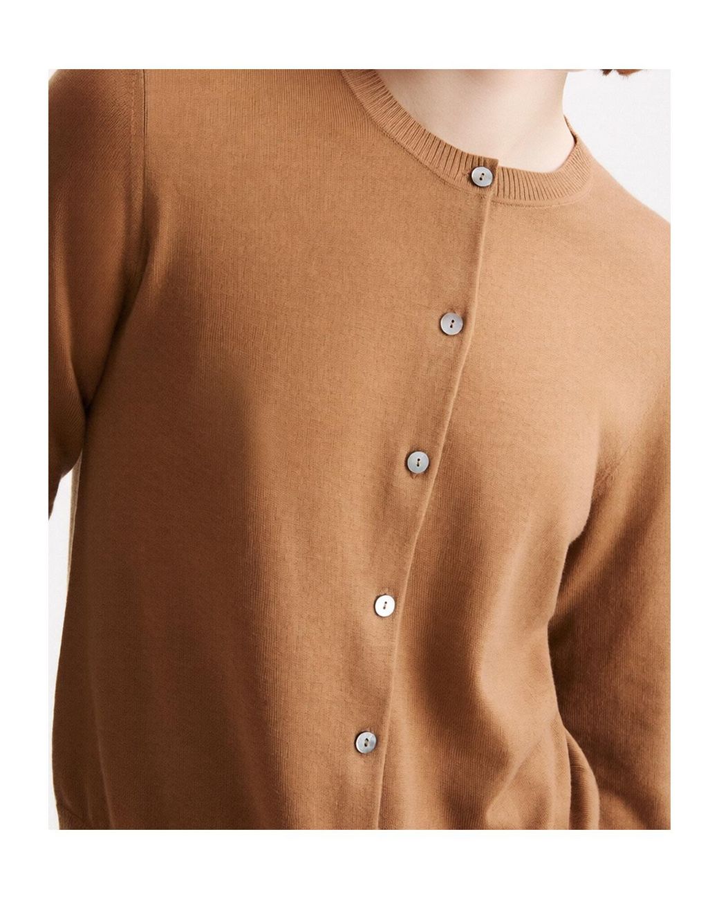 Marella Brown Button-Front Long-Sleeve Knit Top