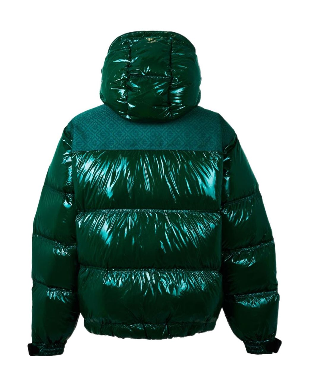 Casablanca Green Printed Hooded Down Jacket for men
