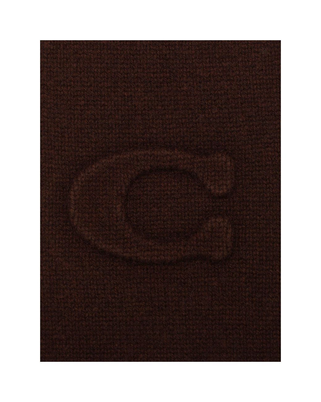 COACH Brown Knitted Long Scarf