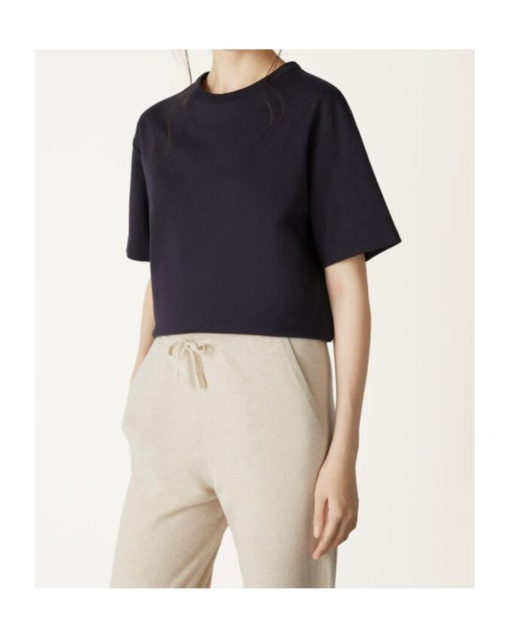 Loro Piana Blue T-Shirts
