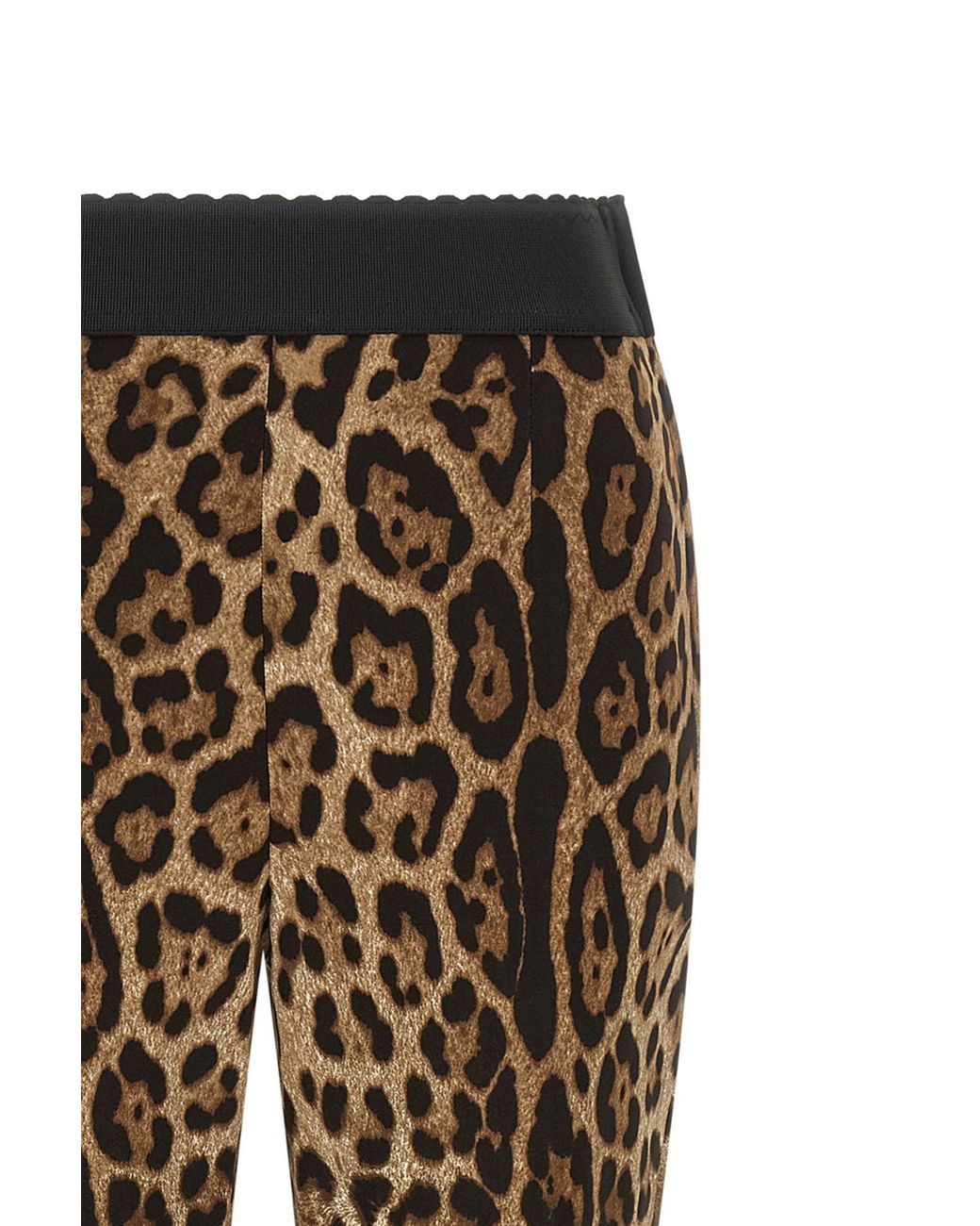Dolce & Gabbana Black Leopard Printed Leggings