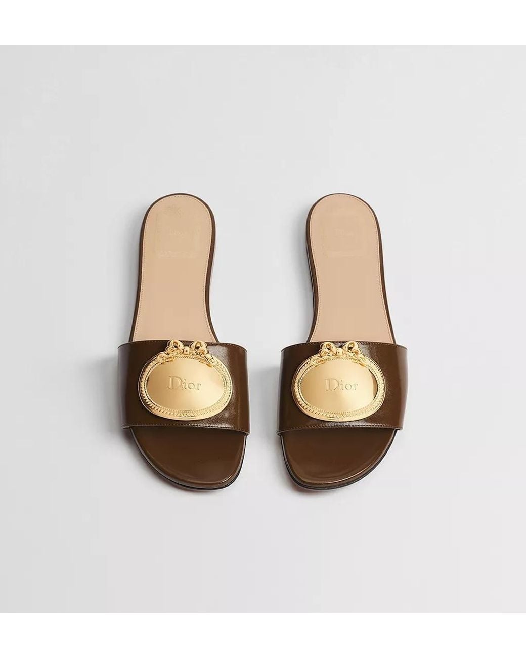 Dior Brown Médaillon Buckle Slide