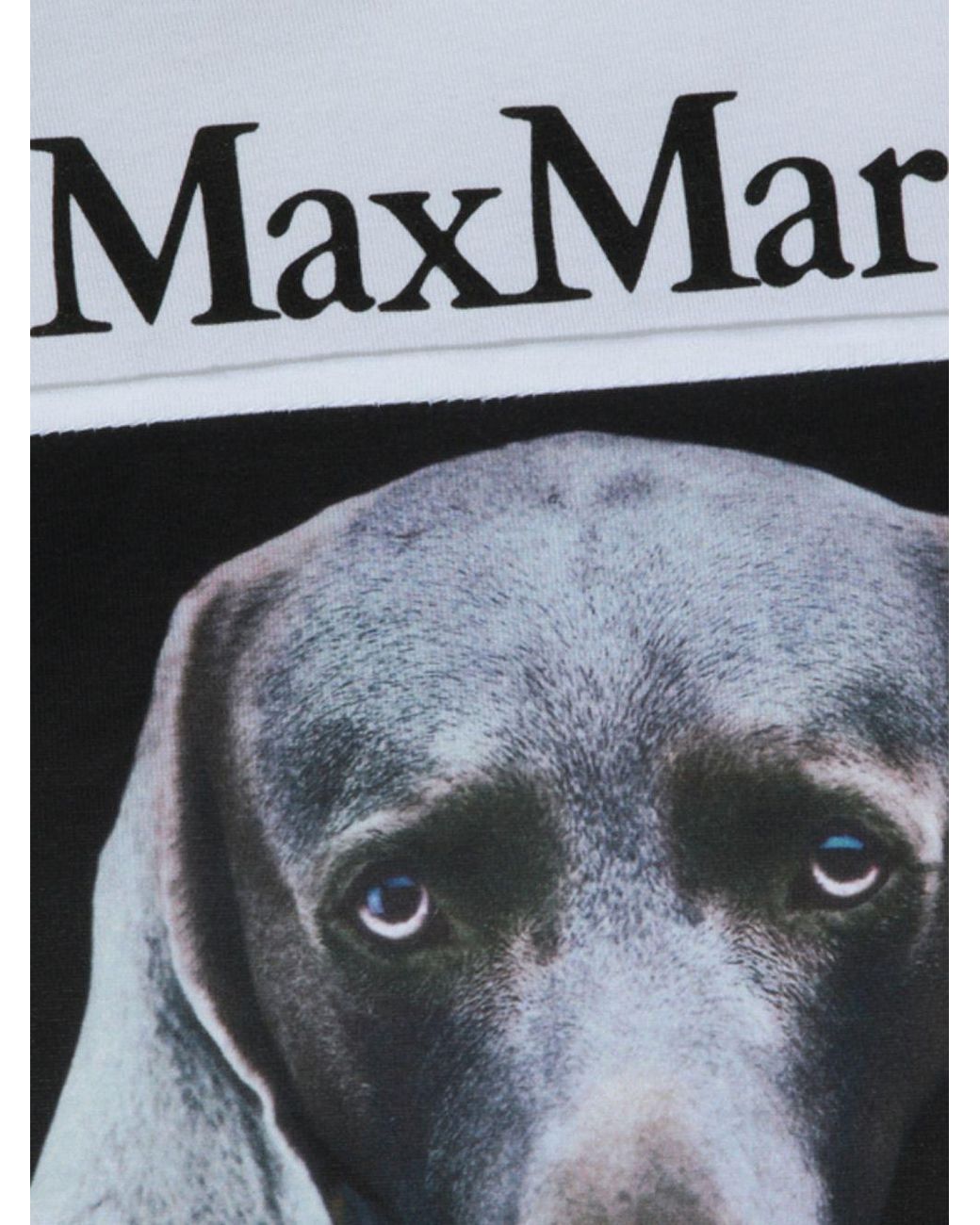 Max Mara Blue Dog Print T-Shirt